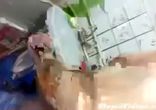 Музыка Гоа