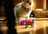 WHISKAS