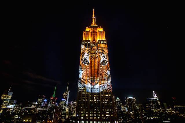 Эмпайр Стейт билдинг