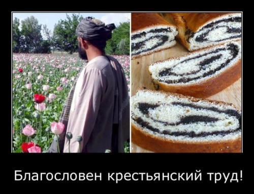 Прикольные демотиваторы