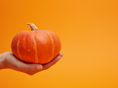 Тыквенные семечки для женщин: польза и вред