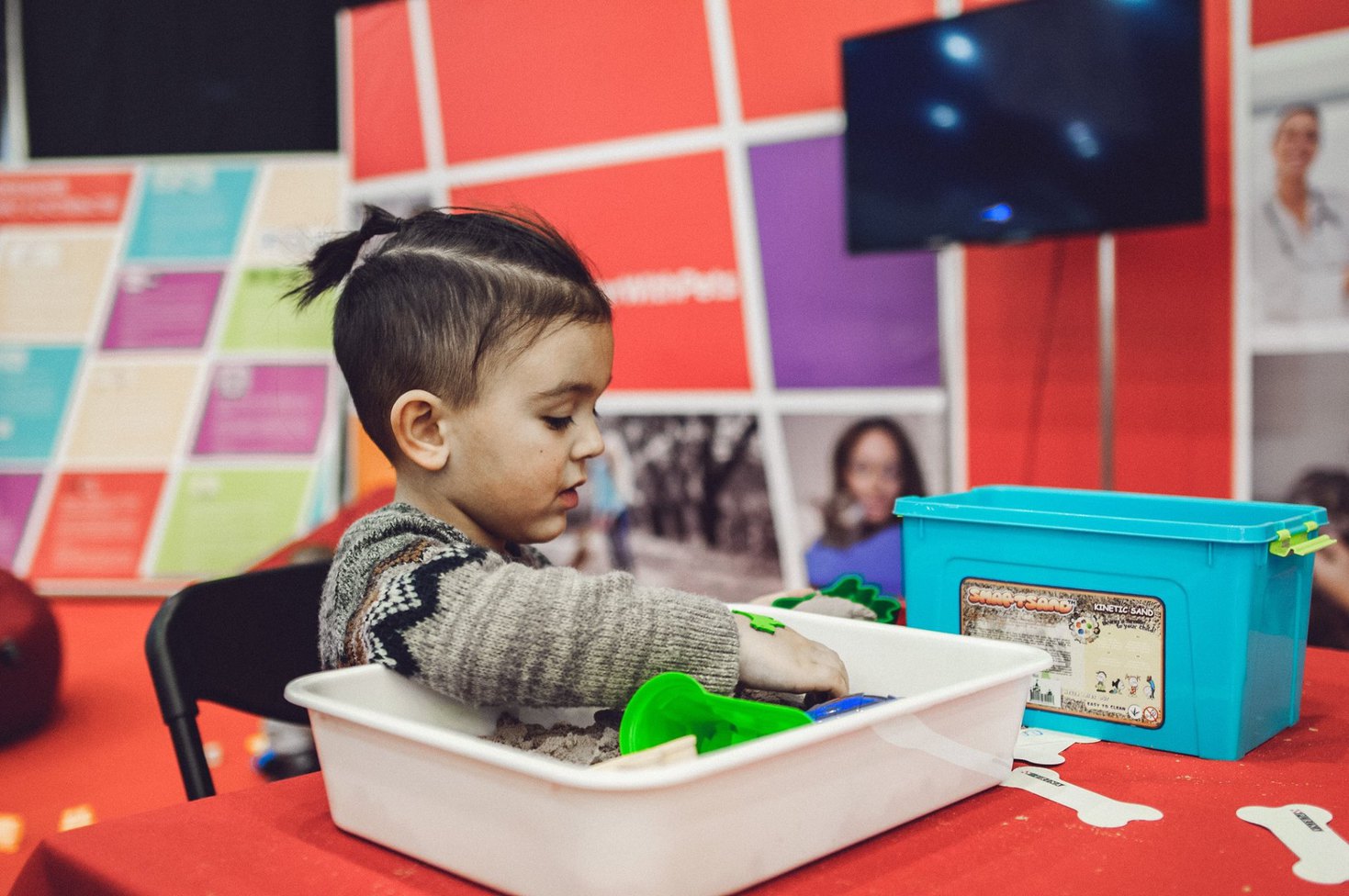 Міжнародна виставка котів Pro Plan® Гран Прі 2018