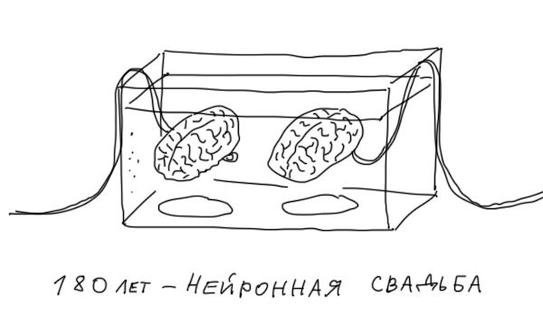 Свадьбы бывают разные