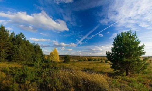 Комментарии к фото природы