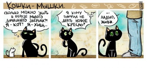 Приколы кошки мышки