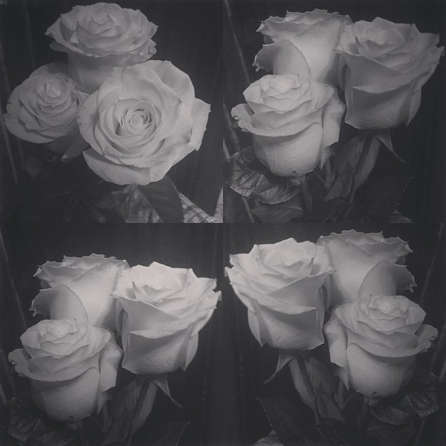 жена Краско