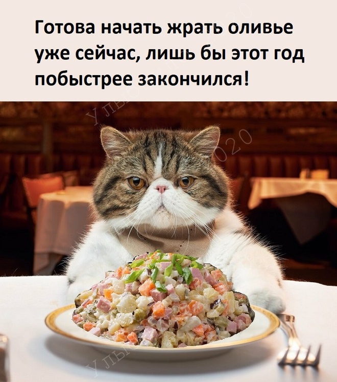 Скорей бы уже 2021 год