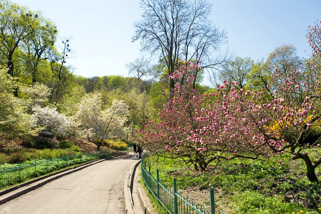 Весна в городе: лучшие парки Киева