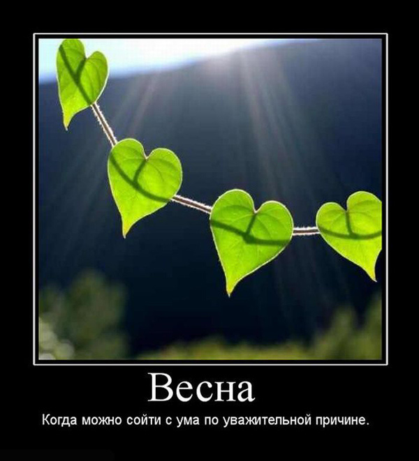 Весенние демотиваторы