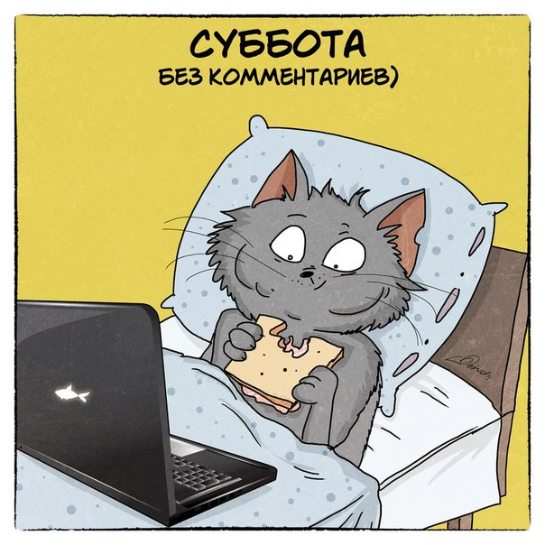 Коротко про трудовую неделю