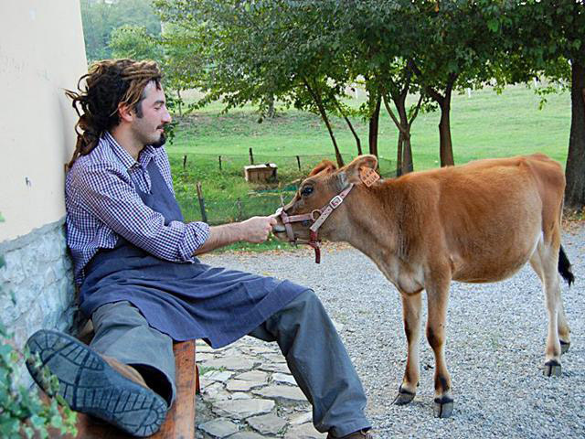 Волонтерство