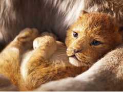 Король Лев