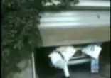 різні приколи