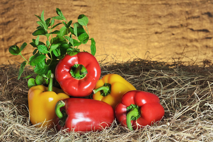 Рецепти з сезонних овочів і фруктів липня