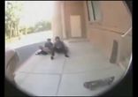 ДЕНЬ 8 ЛУЧШИЕ ПРИКОЛЫ