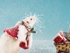 Погода на Новый год: будет ли снег в самую волшебную ночь года?