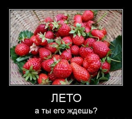 Прикольные демотиваторы