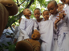 Маленькие монахи в Таиланде