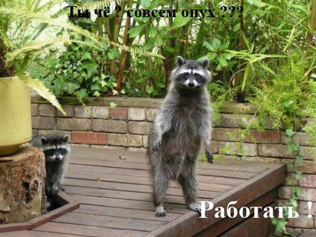 Комикс про пятницу