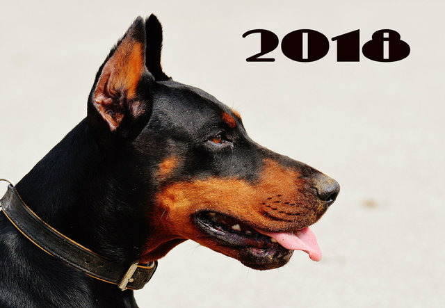 С Новым годом собаки 2018