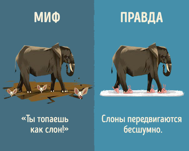 Интересно знать! Мифы и реальность
