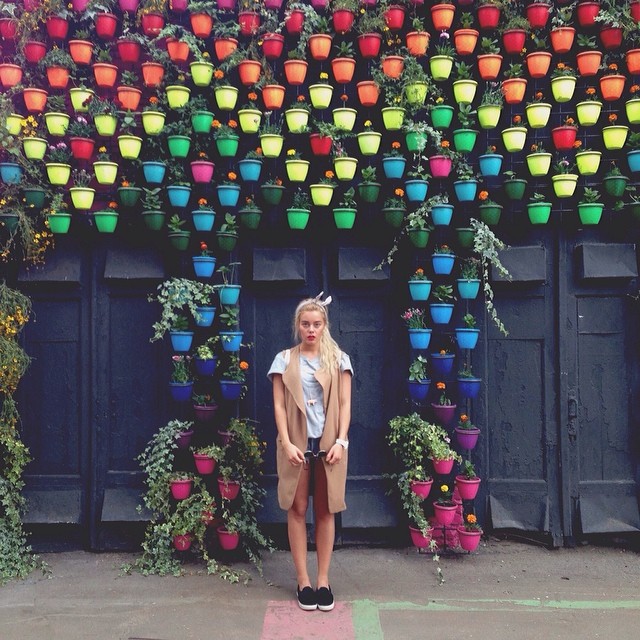 Дарья Шашина