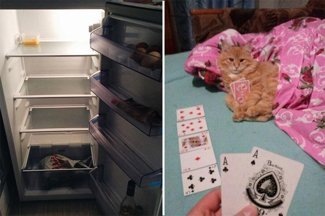 Жена уехала к родителям