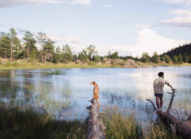Невероятные приключения собаки-путешественницы Мэдди по Америке
