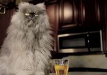 Полковник Мяу Накормите меня Friskies