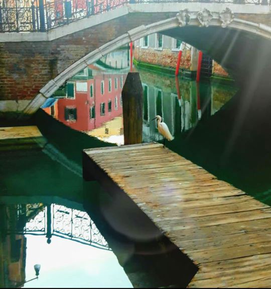 Венеция чистые каналы