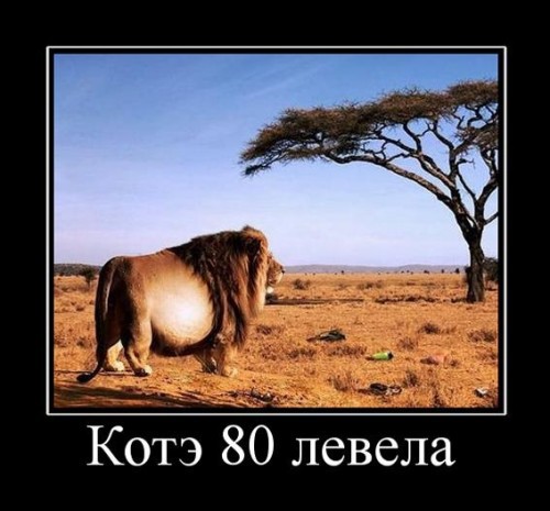 Пятничные демотиваторы