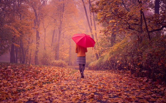 Девушка с зонтом в осеннем лесу