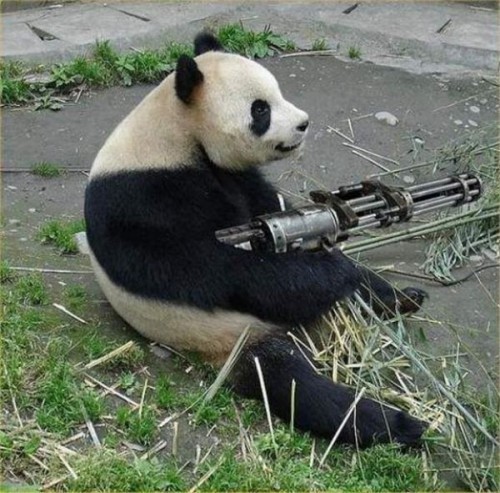 Смешные фотоприколы