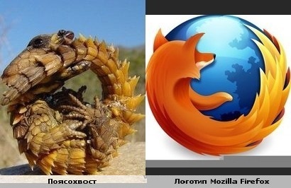 Смешные сходства