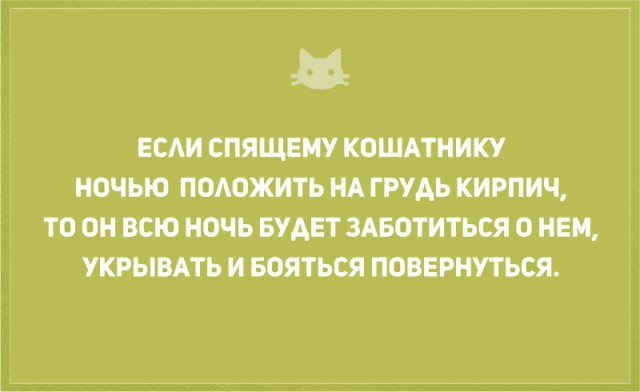 Без кота и жизнь не та