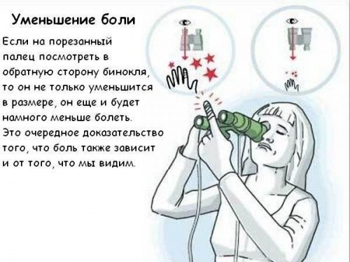 5 способов обмануть мозг