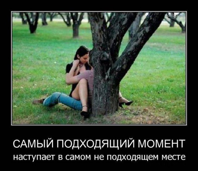 Эротические демотиваторы
