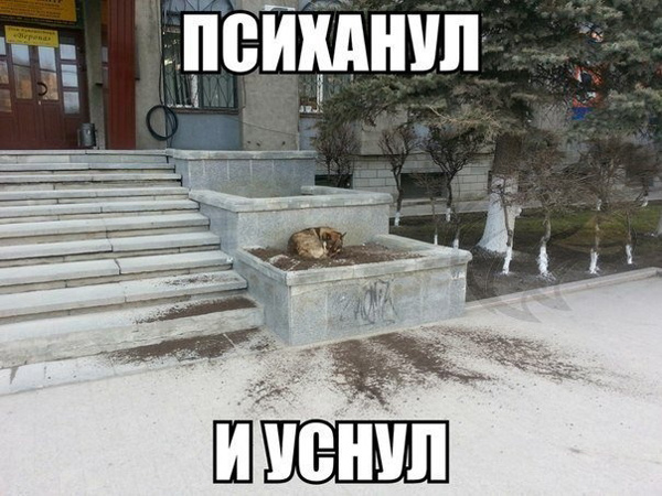 Я немного ПСИХАНУЛ