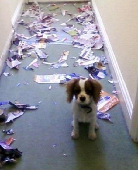 Я просто мимо проходил