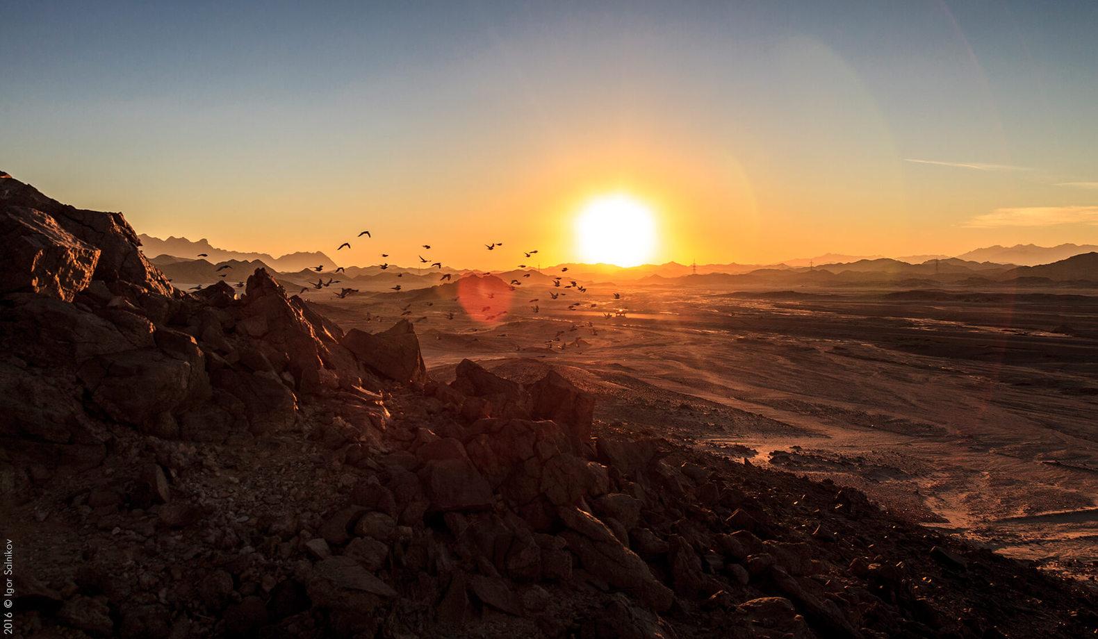 Єгипет, пустеля