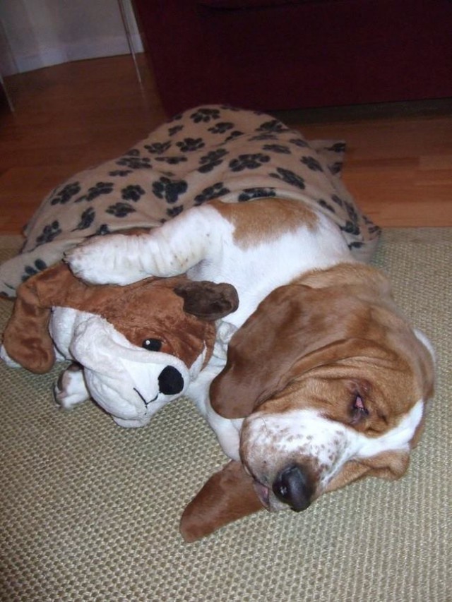 ТОП 15 лучших двойников