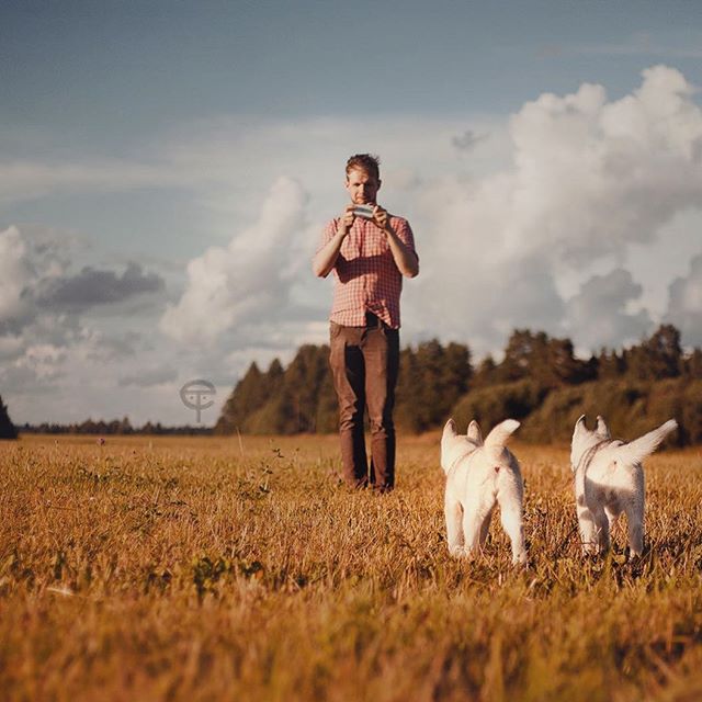 Цуценята Хаскі