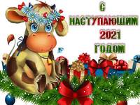 С наступающим годом быка 2021