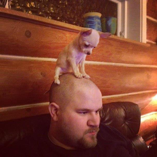 Скользкий тип с няшкой