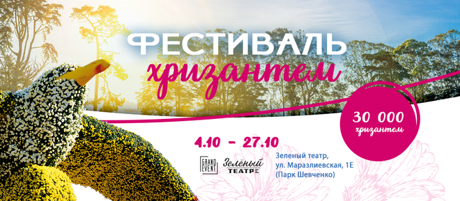 Морвокзал и Привоз из цветов: в Одессе впервые пройдет фестиваль хризантем