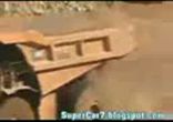 звір прямо! розтрощив авто