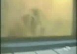 Жесткий прикол над девушкой с феном.