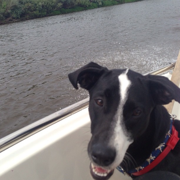 Сергей Лазарев