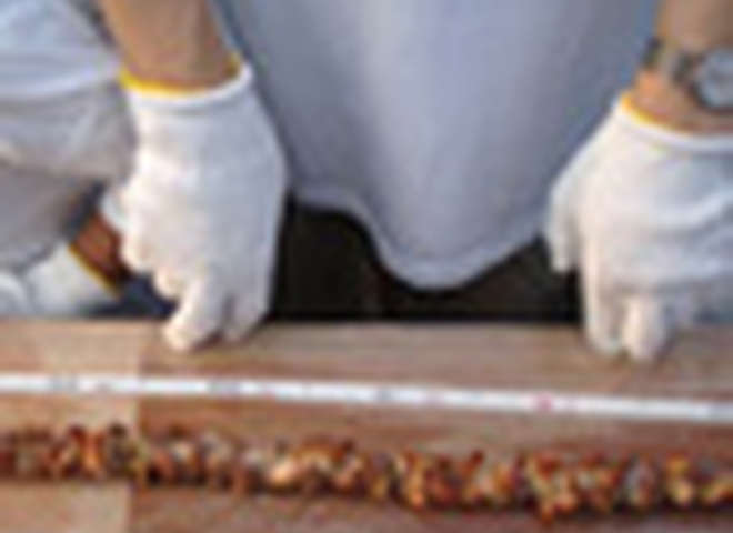 Японские рекордсмены