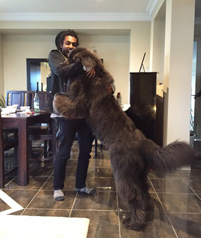 Самые "миниатюрные" собачки